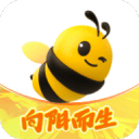 惹怒广东球迷！杜锋有三宗罪，徐杰成牺牲品，焦泊乔后悔转会？
